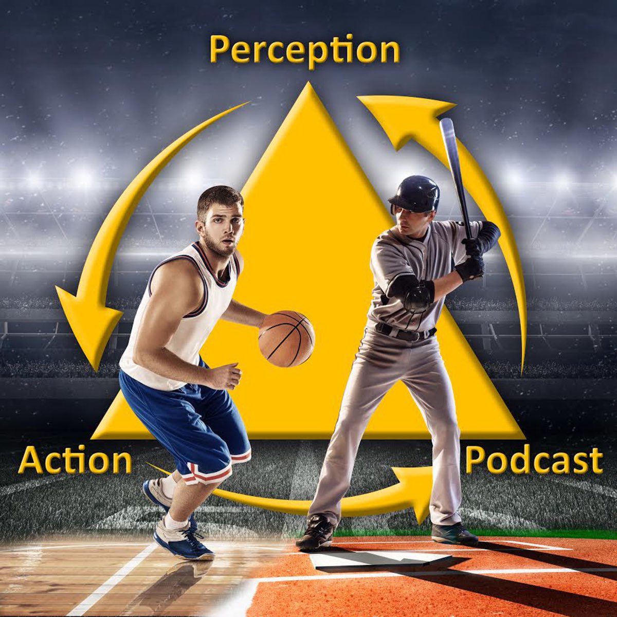 The Perception and Action Podcast artwork